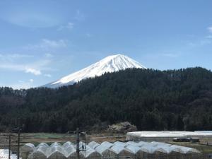 Nespecifikovaný výhled na hory nebo výhled na hory při pohledu z hotelu