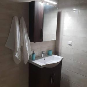 un bagno con lavandino e specchio di Paschali apartment with 2 bedrooms in Ammoudia a Párga
