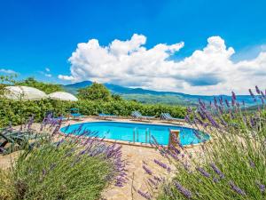 The swimming pool at or close to Apartment Papavero by Interhome