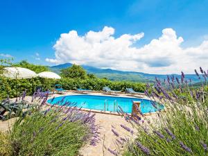 The swimming pool at or close to Apartment Papavero by Interhome