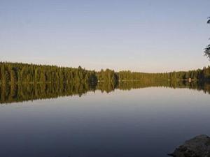 a large body of water with trees in the background at Holiday Home Mielikki by Interhome in Kurkimaki