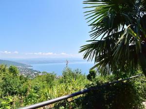 Naturlandskabet i nærheden af lejligheden