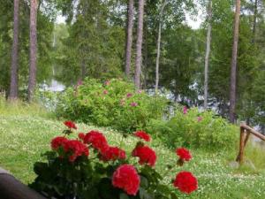 Un mazzo di fiori rossi in un giardino di Holiday Home Kettupirtti by Interhome a Soiniemi Altre 20 foto