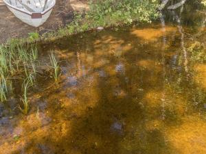 un reflejo de un barco en un cuerpo de agua en Holiday Home Valkealammi by Interhome, en Vehmainen