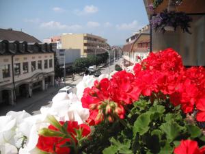 a bunch of red and white flowers on a building at Tavas Barlang Apartman Tapolca in Tapolca