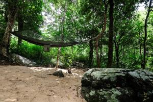 Phong cảnh thiên nhiên gần resort