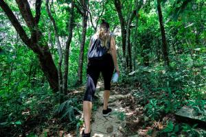 Khách lưu trú tại Treehouse Chalets - Luxury getaway within a short distance of Ella