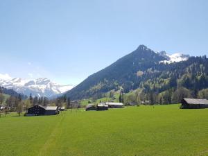 un grande campo verde con montagne sullo sfondo di Apartment Farfalla by Interhome a Gstaad