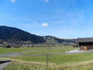 a small tree in a field next to a building at Apartment Studio Rinderbergblick by Interhome in Zweisimmen