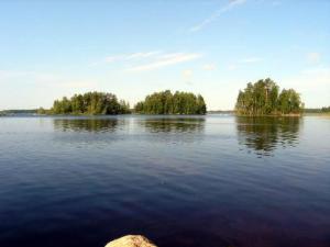 een groot meer met bomen in het midden bij Holiday Home Karikko by Interhome in Lestijärvi