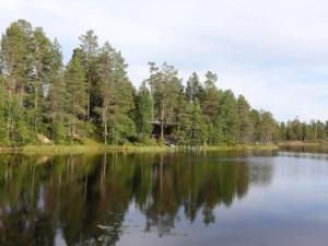ルオストにあるHoliday Home Metsä-luosto by Interhomeの水に反射する木々が映る大きな湖