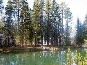 Naturlandskabet i nærheden af feriehuset
