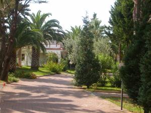 a driveway leading to a house with palm trees at Affittacamere Villa Brazzano in Scalea