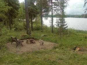 two cats sitting next to a bench near a lake at Holiday Home Suviranta by Interhome in Syvärinpää