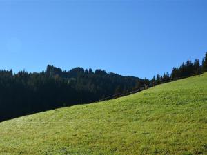 ein grüner Grashügel mit Bäumen im Hintergrund in der Unterkunft Apartment Hornflue - Wohlwender by Interhome in Gstaad