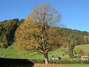 グスタードにあるApartment Oberland Nr- 19 by Interhomeの畑の中の木