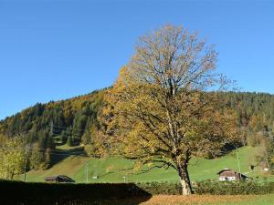 a tree in the middle of a field at Apartment Oberland Nr- 29 by Interhome in Gstaad