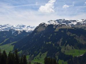 Blick auf eine Bergkette mit schneebedeckten Bergen in der Unterkunft Apartment Alphütte Gibelhüttli by Interhome in Giebel