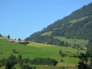 a green field with houses and trees on a mountain at Apartment Eichhorn by Interhome in Zweisimmen