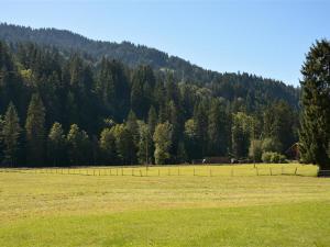 un campo con recinto di fronte a una montagna di Apartment Jacqueline 21 by Interhome a Gstaad