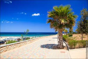 a palm tree on a sidewalk next to the beach at Penthouse Lamar 43.11 in Pilar de la Horadada