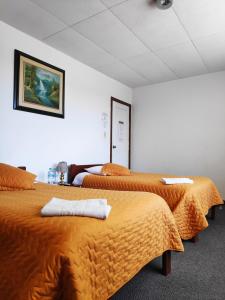 Postel nebo postele na pokoji v ubytování Hotel 9 de Octubre