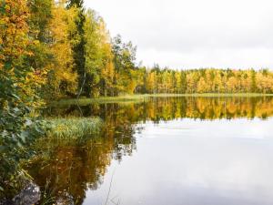 KyyröにあるHoliday Home Mökki mikkola by Interhomeの水に反射する木々の湖