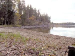 una spiaggia con alberi e una cassa d'acqua di Holiday Home Aurinkolahti by Interhome a Taimoniemi