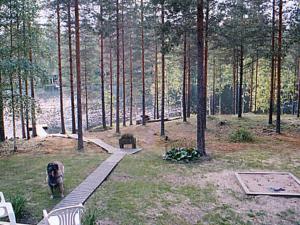 a dog standing on a path in a forest at Holiday Home Aittolahti 1 by Interhome in Hopsu