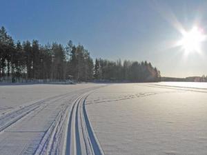 een besneeuwde weg met de zon op de achtergrond bij Holiday Home Honkaharju by Interhome in Petäjävesi