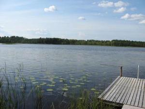 einen See mit einem Steg und Seerosenblättern im Wasser in der Unterkunft Holiday Home Käpälämäki by Interhome in Lahdenkylä