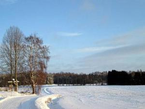 a snow covered road with a field and trees at Holiday Home Villa vuorikotka by Interhome in Kaivanto