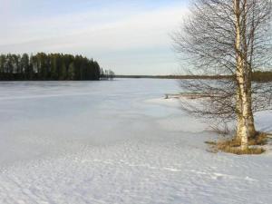 a tree in the snow next to a frozen lake at Holiday Home Herkkola by Interhome in Jokijärvi