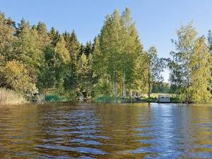 una masa de agua con árboles en el fondo en Holiday Home Rinnekämppä by Interhome en Pätiälä
