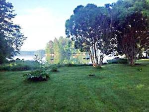 a field of grass with trees and a lake at Holiday Home Kivilahti by Interhome in Iltasmäki