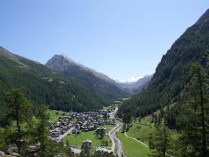 サース・アルマゲルにあるApartment Chalet Alpenrösli by Interhomeの山の渓谷の眺め