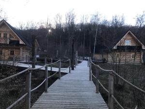 Příroda nedaleko chaty