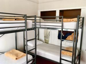 Двуетажно легло или двуетажни легла в стая в Freemans Backpackers