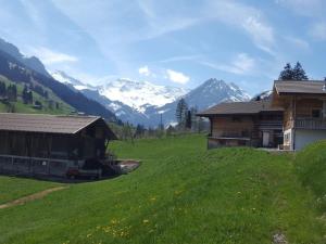 a green field with two buildings and mountains in the background at Apartment Chalet Wäschhüsi by Interhome in Adelboden