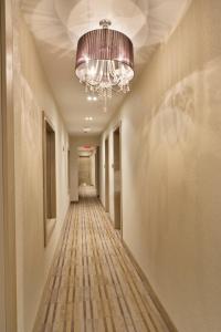 Fotografie z fotogalerie ubytování Aura Hotel Brooklyn v destinaci Brooklyn