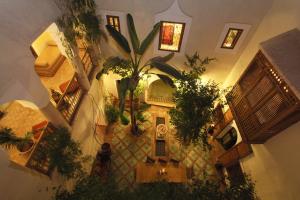 馬拉喀什的住宿－里亞德厄爾優素菲酒店，盆栽植物建筑的顶部景观