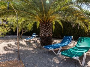 Balcon del MarにあるVilla Mariposa by Interhomeの椰子の前の椅子2脚と椰子の木