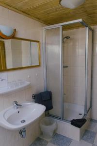 a bathroom with a sink and a shower at Pension Lex in Bad Reichenhall