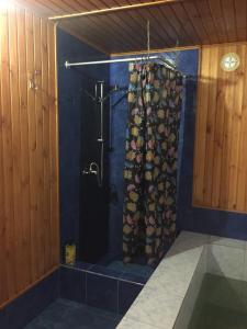a shower with a shower curtain in a bathroom at Домик для отдыха рядом Днепр in Cherkasy +13 photos