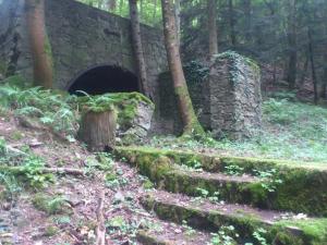 un viejo puente de piedra en medio de un bosque en Gite des Tilleuls, en Wattwiller