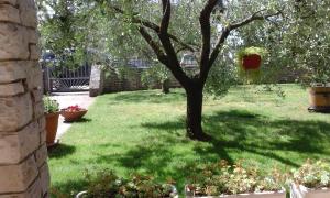 un árbol en medio de un patio con césped verde en Apartments Anica, en Pula