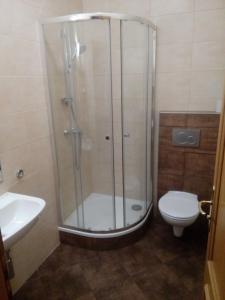 a shower in a bathroom with a toilet and a sink at Penzion Scarlet in Trenčín