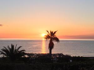 a palm tree in front of the ocean at sunset at HOME sweet home Santa Caterina dello ionio in Santa Caterina dello Ionio
