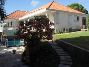 a house with a tree in front of it at Le Coin Tranquille in Sainte-Anne