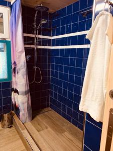 a blue tiled bathroom with a shower and a towel at Hof Dietrich in Herisau